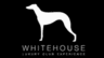 Consumazioni illimitate al capodanno della White House