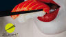 Inaugurazione ristorante giapponese: Zushi!