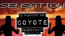 Le ragazze del coyote al Matilda