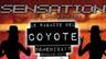 Le ragazze del coyote al Matilda