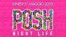 Inaugurazione estivo posh night life @ bee club