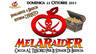 Melaraider 2011 - Caccia al tesoro per le strade di Brescia (II edizione)
