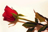 San Valentino