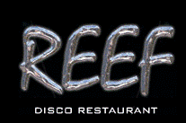 Reef disco latino