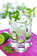 Photo cocktail Mojito