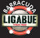 barracuda - ligabue tribute band - venerdi 8 aprile 2011